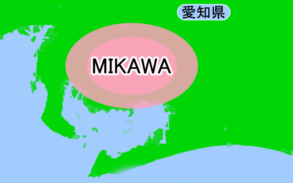 地産地消の地場野菜を提供