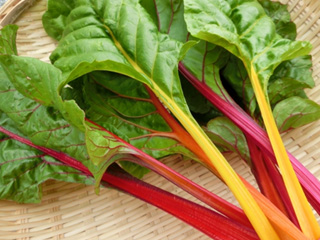 変わった野菜が目白押し