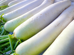 地産地消の地場野菜を提供
